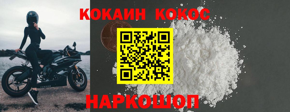 COCAIN Columbia Гатчина