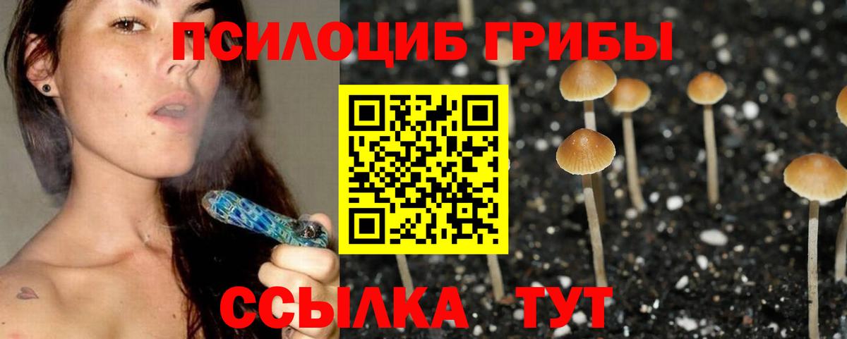 Псилоцибиновые грибы MAGIC MUSHROOMS  Галлюциногенные грибы Cubensis  Гатчина  Вход с VPN 